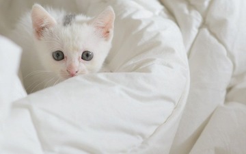 dsc_8645_副本.jpg