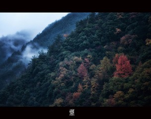 DSC_3055_副本_副本.jpg