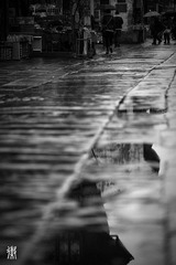 DSC_3051_副本.jpg