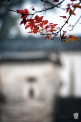 DSC_3010_副本.jpg