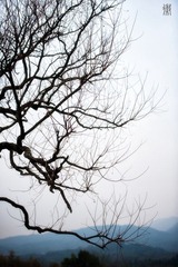 DSC_2924_副本.jpg