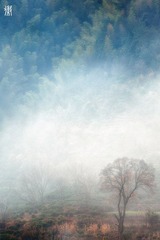 DSC_2867_副本.jpg