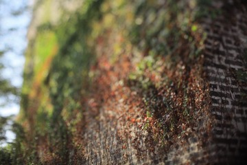 _MG_9578.JPG
