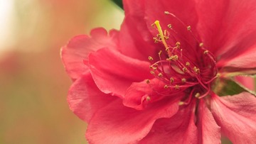 DSC_7690.jpg