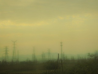 DSC05159.jpg