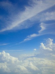 DSC05028_旋转.jpg
