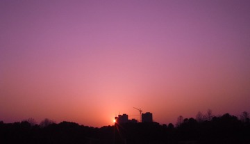 DSC05285.jpg