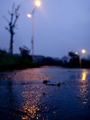 DSC05298.jpg
