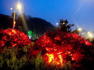 DSC05318_旋转.jpg