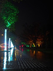 DSC05343.jpg