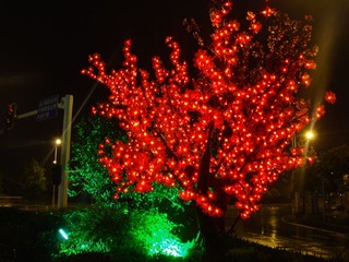 DSC05353_旋转.jpg