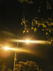 DSC05365_旋转.jpg