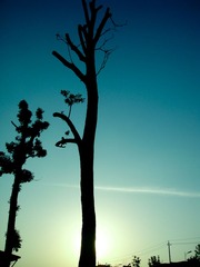 DSC05545_旋转.jpg