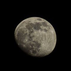 1686F83D-3285-4707-80B0-380AC9855C4B/L0/001