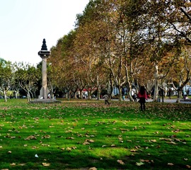 P1030807 2