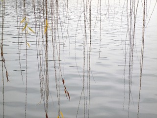 P1040965 2