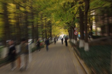 IMGP5445.JPG