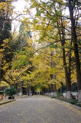 IMGP5256.JPG