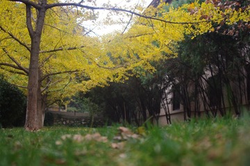 IMGP5285.JPG