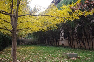IMGP5286.JPG