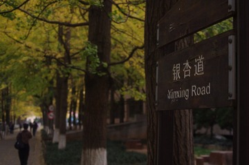 IMGP5443.JPG