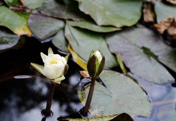 DSC_5105_