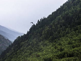 20150719-P7190451