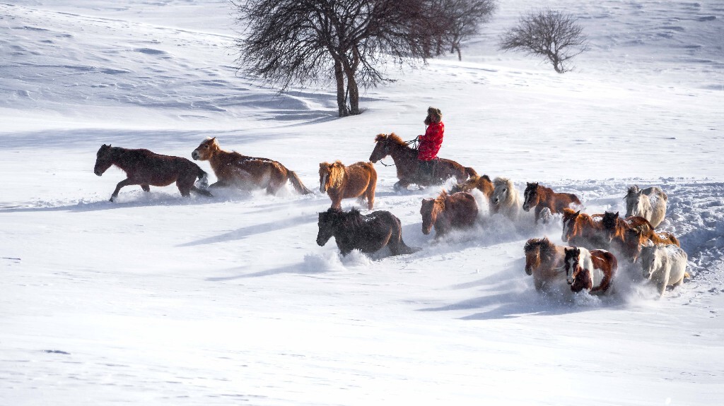 雪海遨游