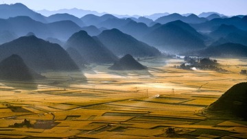 《峰拥花海》