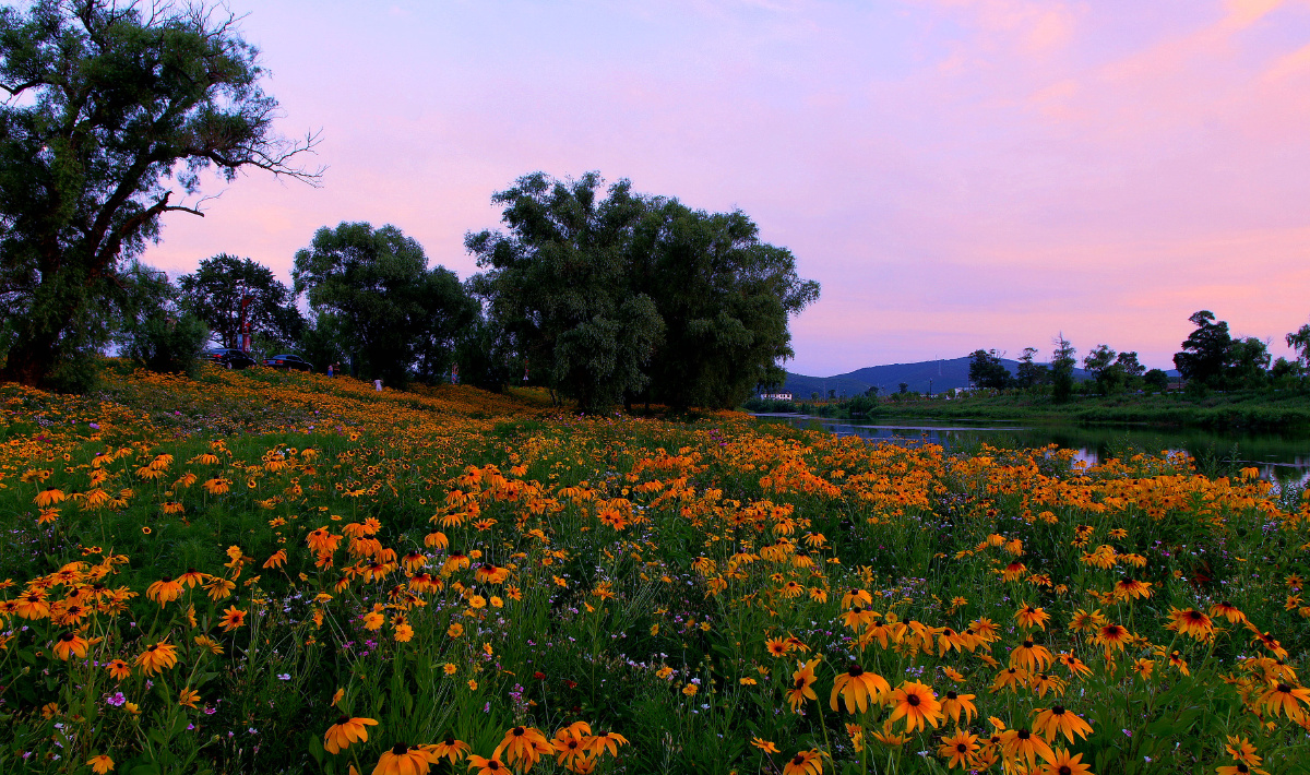太子岛花海田园