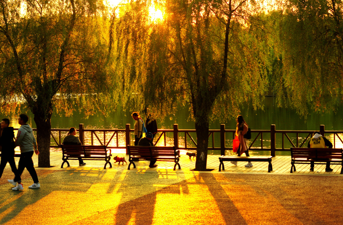 我们的生活充满阳光