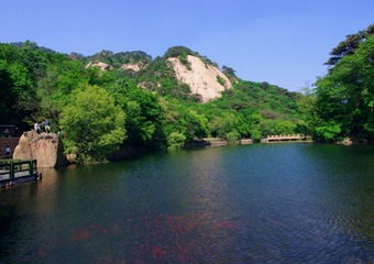 AAA013