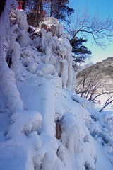 IMGP7065_0