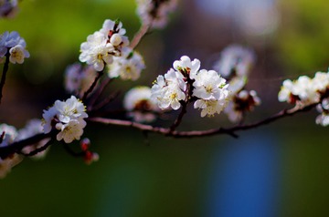 IMGP7541_0