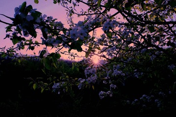 IMGP8325_