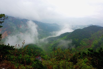IMGP8587_