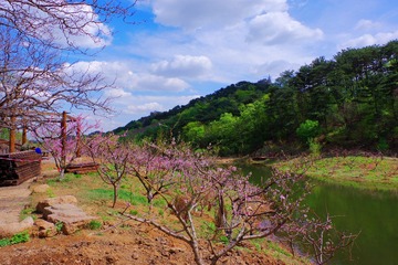 IMGP8777_
