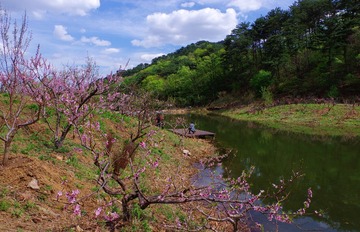 IMGP8792_