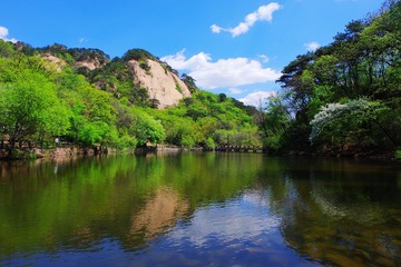 IMGP8721_