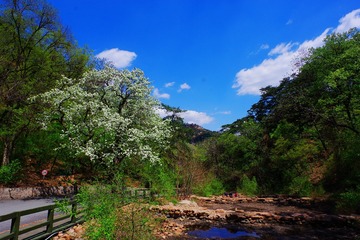 IMGP8707_