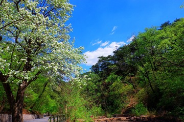 IMGP8709_0
