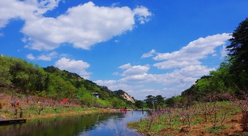 IMGP8768_