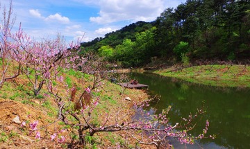 IMGP8789_