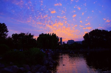 IMGP3350_