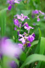 IMGP8785_
