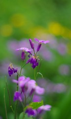 IMGP8777_0