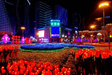 IMGP6830_