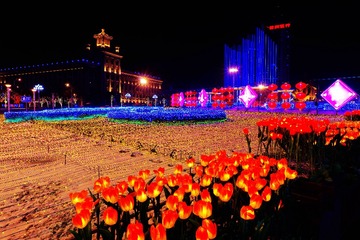 IMGP6817_