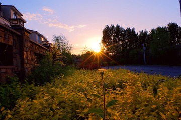 IMGP9095_