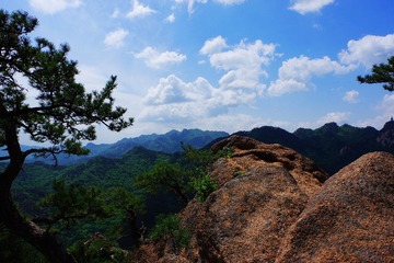 IMGP9073_